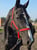 Annuncio cavallo