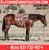 Horse ad