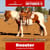Paardadvertentie