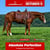 Paardadvertentie