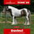 Annuncio cavallo