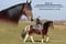Horse ad