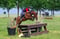 Horse ad