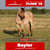 Annuncio cavallo
