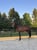 Annuncio cavallo