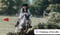 Annuncio cavallo