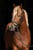 Horse ad