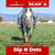 Horse ad