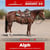 Paardadvertentie