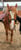 Horse ad