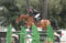 Horse ad