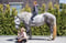 Annuncio cavallo