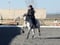 Annuncio cavallo