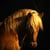 Horse ad