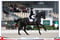 Annonce cheval