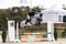 Annuncio cavallo