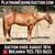 Horse ad