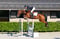 Horse ad