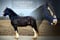 Horse ad