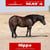 Anuncio de caballos