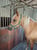 Annonce cheval