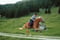 Horse ad