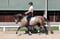 Annonce cheval