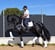 Annuncio cavallo