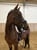 Horse ad