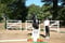 Horse ad