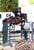 Horse ad