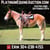 Horse ad