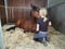 Annuncio cavallo