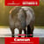 Paardadvertentie