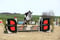 Horse ad