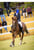 Anuncio de caballos