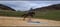 Horse ad