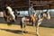 Horse ad