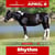 Annonce cheval