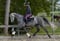 Horse ad