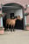 Annonce cheval