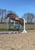 Horse ad