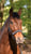 Horse ad