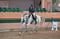 Horse ad