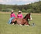 Horse ad