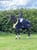 Annuncio cavallo