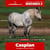 Annonce cheval