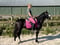 Horse ad