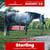 Paardadvertentie