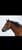 Horse ad